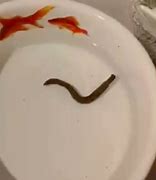 Image result for Bowl of Worms