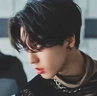 Image result for Skz Members Han