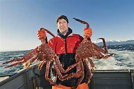 Image result for Alaskan Kng Crab