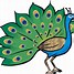 Image result for Peacock Face Cartoon