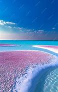 Image result for Pink Sand Beaches in Bahamas