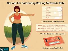 Image result for Define Metabolic Rate