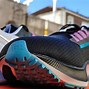 Image result for Nike Zoom Pegasus