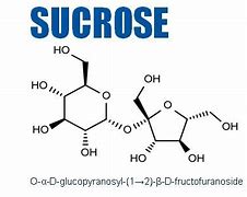 Image result for What Is Sucrose