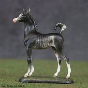 Image result for Rabicano Horse