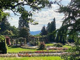 Image result for Mainau Cathedral