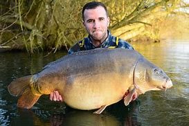 Image result for 101 Lb Carp