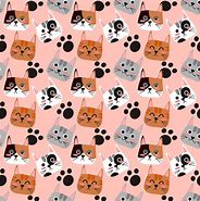 Image result for Cat Face Pattern