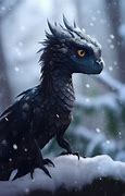 Image result for A Black Dragon