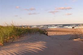 Image result for Cape Cod Beach