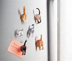 Image result for Cat Magnets