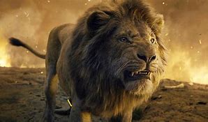 Image result for Lion King Scar Fight