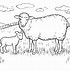 Image result for Drawing of Lamb