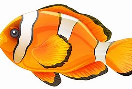 Image result for Fishing Clip Art Transparent