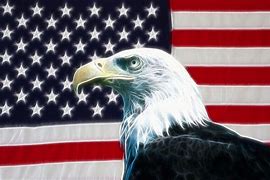 Image result for American Badass Eagle Wallpaper