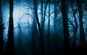 Image result for Scary Forest at Night