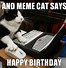 Image result for Happy Birthday From a Cat