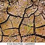 Image result for Brown Dry Tree