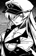 Image result for Esdeath Manga Panel