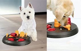 Image result for Dog Treat Toys