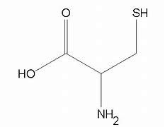 Image result for cysteine synthesis