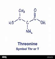 Image result for Xeronine Structure