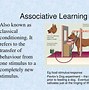 Image result for Animal Behaviour