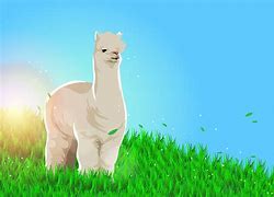 Image result for Lama with Sideburns