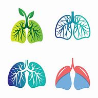 Image result for Signal Lung Logo