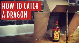 Image result for Fireball Whisky Dragon