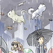 Image result for It Rains Cats and Dogs