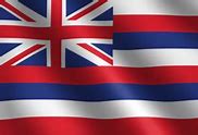 Image result for The Hawaiian Flag