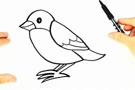 Image result for Basic Bird Drawing