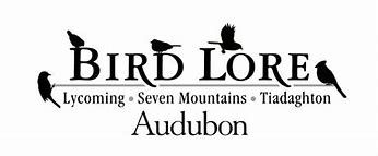 Image result for Lorie's Bird