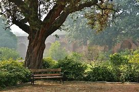 Image result for Garden Park Bench