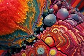 Image result for Rock Microscopic