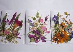 Image result for Dried Flower Art