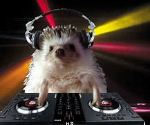 Image result for DJ Hero GIF