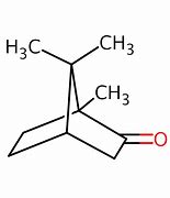 Image result for Camphor Condensed Structural Formula