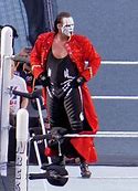 Image result for Sting Wrestler