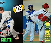 Image result for Karate vs Taekwondo