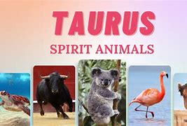 Image result for Spirit Animals for Zodiac Signs