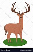 Image result for Mule Deer Stencil Drzw