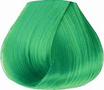 Image result for Mint Powder Hair Colour