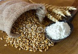 Image result for Wheat Flour