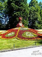 Image result for Mainau Germany Location