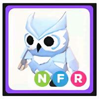 Image result for NFR Snow Owl