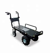 Image result for Small Electric Carts