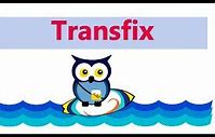 Image result for Transfix Examples