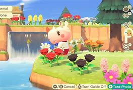 Image result for Cute Pink Profile Picture Merengue Animalcrossing